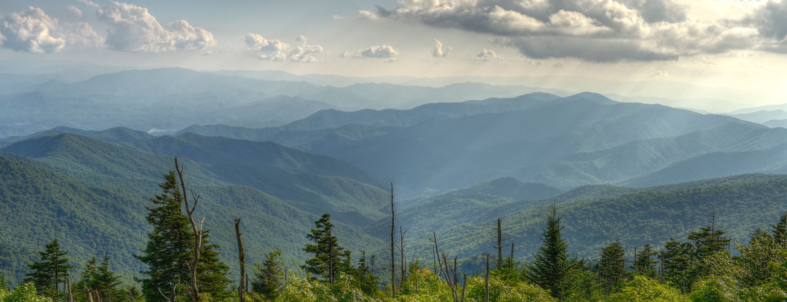 Boxing Culture Xperience